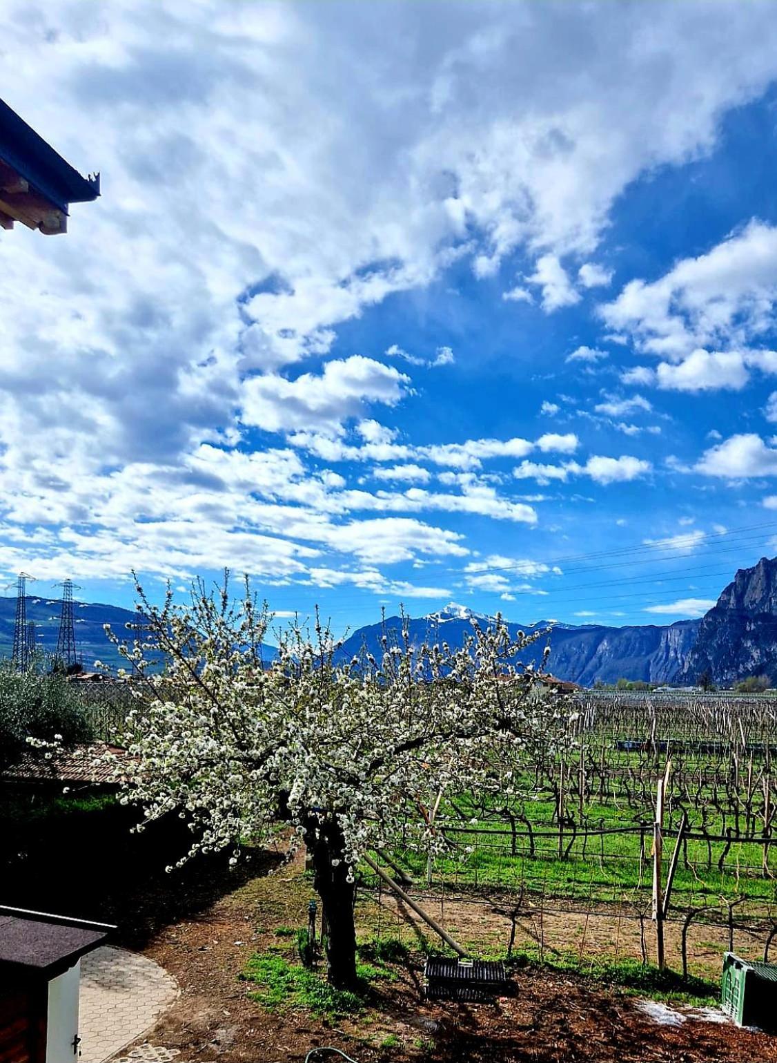 Antico Fienile Agritur Vila Mezzocorona Exterior foto